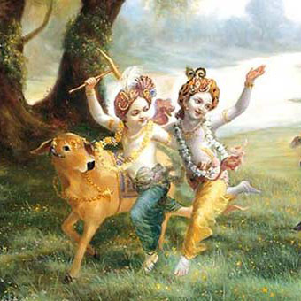 janmasthami-2011-banner