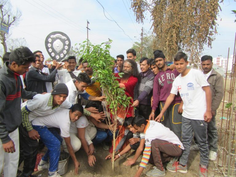 modelveerpurbanner