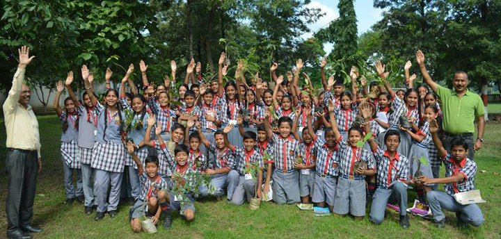 kendvidywatertreebanner