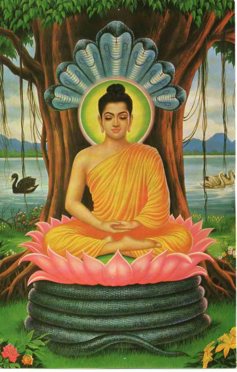 buddha1