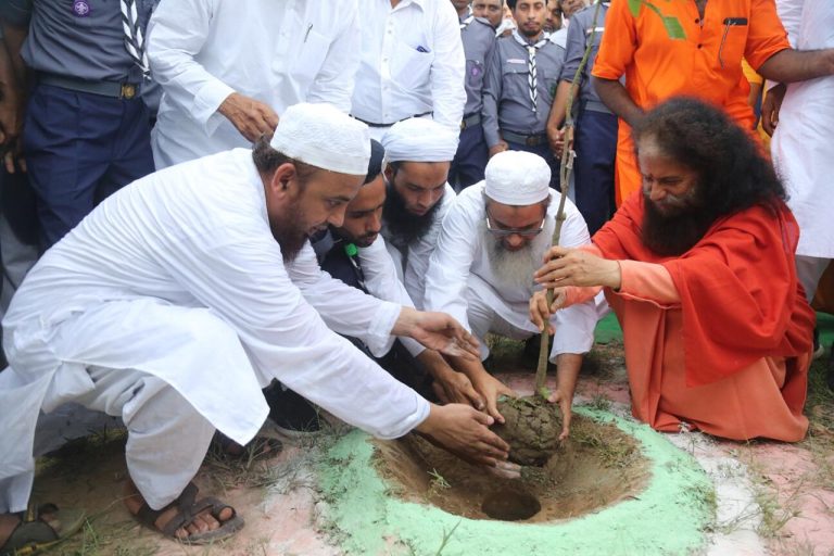 amanekta