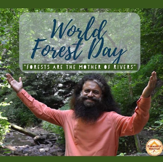 worldforest