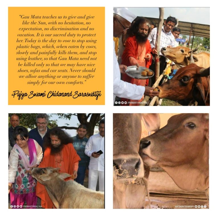 gaumata