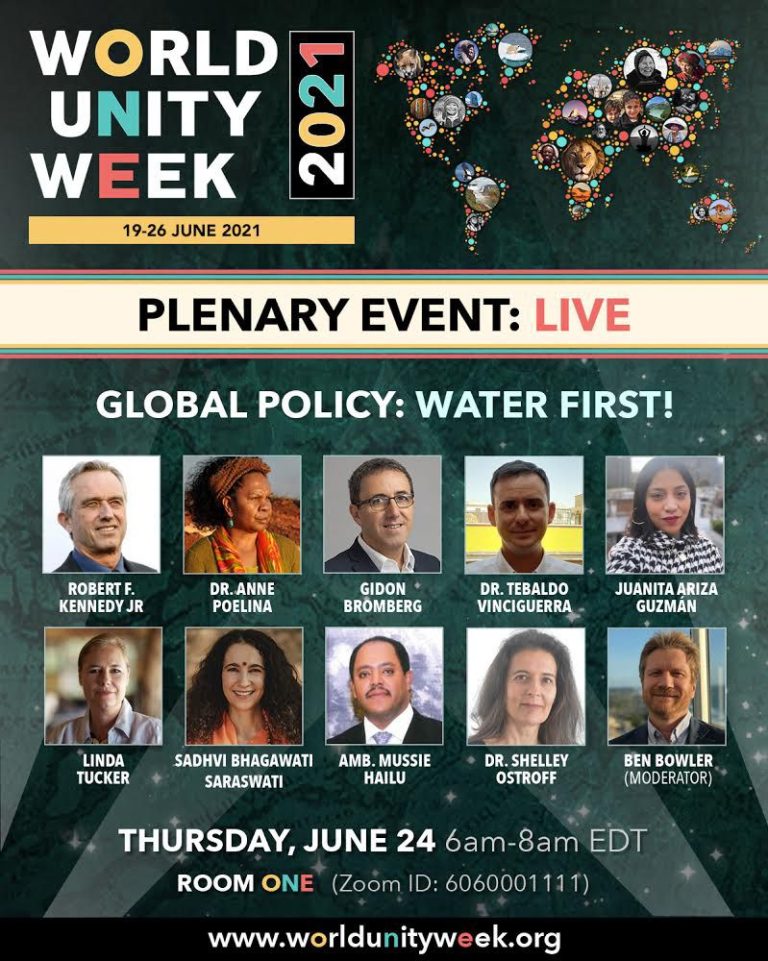globalpolicywater