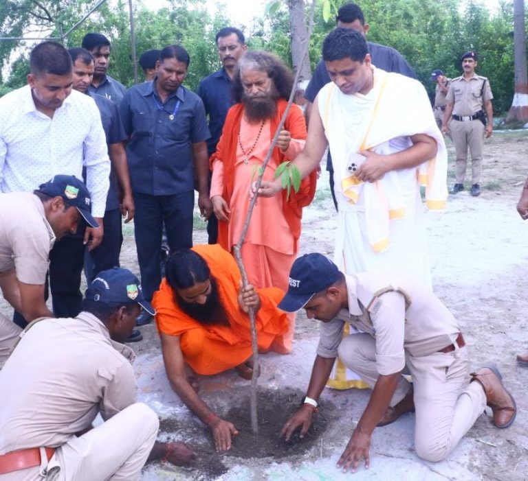 patanjaliyogpeethtreeplantation