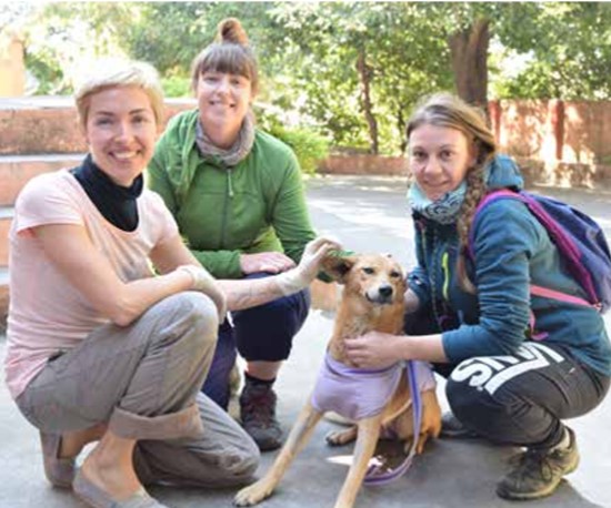 animalrescue20162